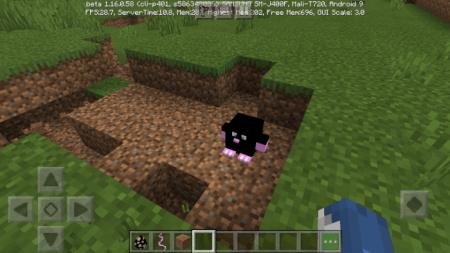 Крот разрыл землю на равнине