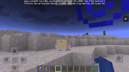 Пустынный крот, обитающий в биоме пустыни