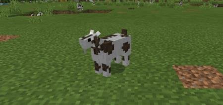 Коза стоит на равнине