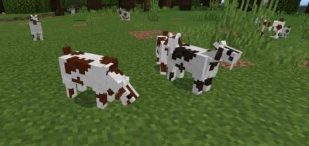 Представление различных видов коз на равнине