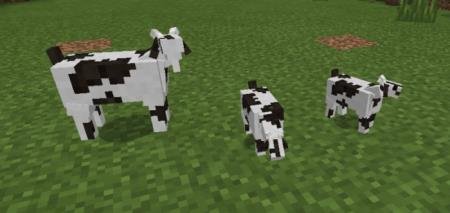 Козы кушают траву на равнине