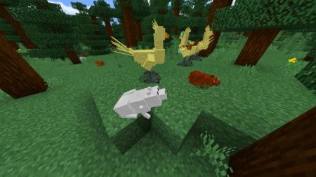 птички в лесу