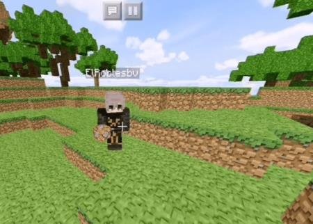 Игрок на равнине с запрещённым блоком в руках