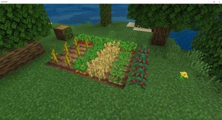 Небольшой участок фермы игрока на равнине