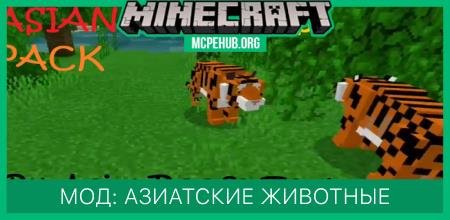 Мод: Азиатские животные