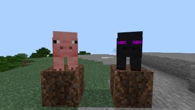 Свинья Края