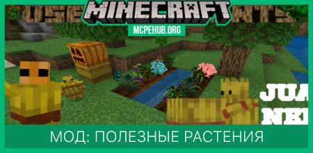 Мод: Полезные растения
