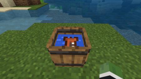 Заец в бочке с водой