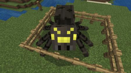 Королева пауков