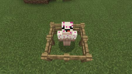 Сладкий человек