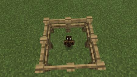 Нимфа темных дубов