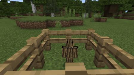 Древесная нимфа