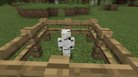 Березовая нимфа