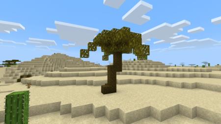 Пустынная пальма