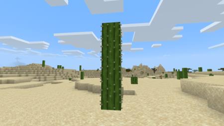 Большой кактус