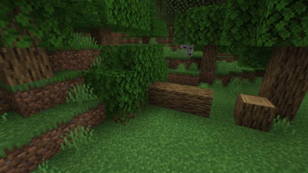 Упавшее дерево 1