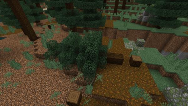 Упавшее дерево 2