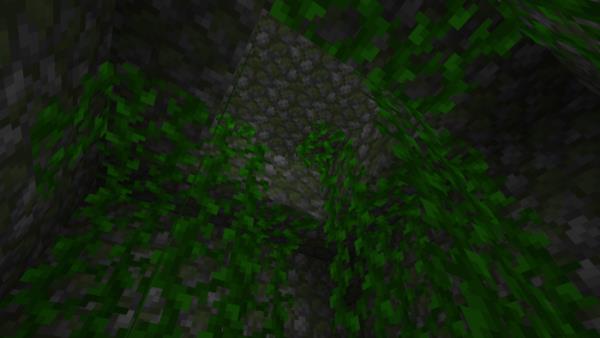 Пирамида джунглей