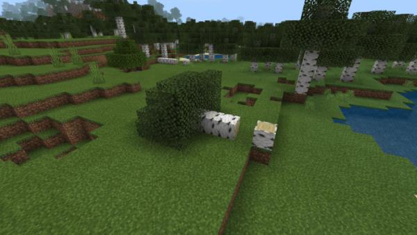 Упавшее дерево 3