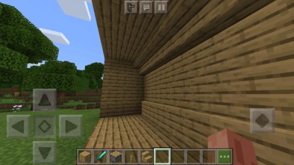 Игрок возле деревянного дома