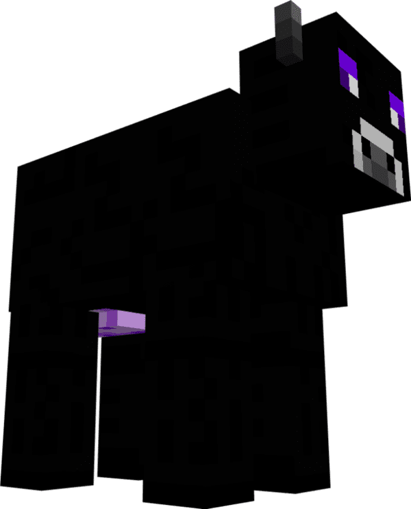 черная корова