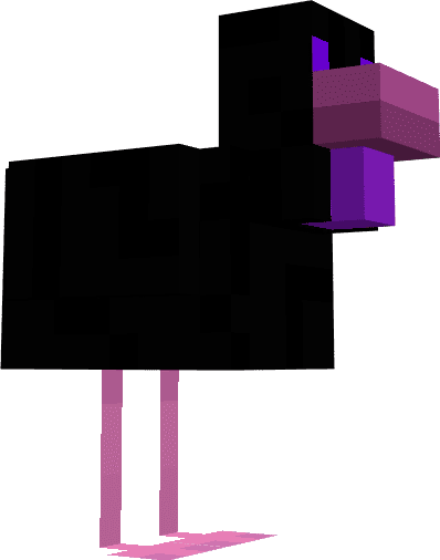 черная курица