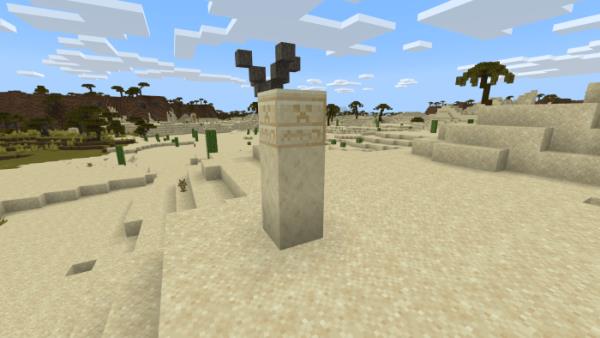 Маленький пустынный тотем