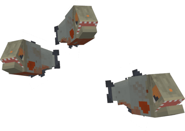 Красная пузатая пиранья