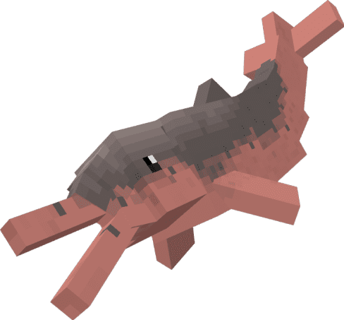 Дельфин Амазонки