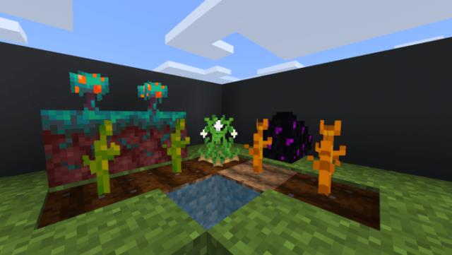 растения на грядке