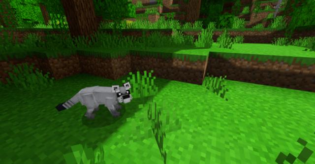 Енот крабоед в игре