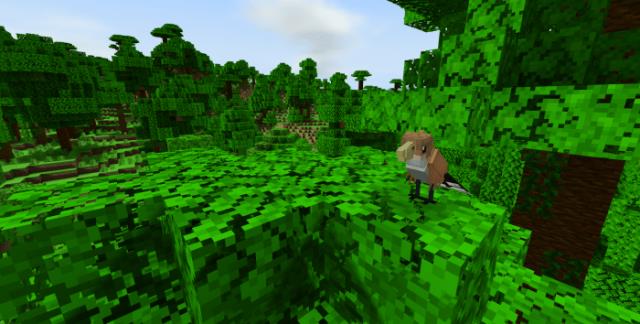 Белка Кукушка