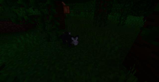 Ушастый опоссум