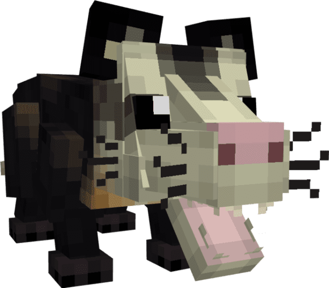 Ушастый опоссум