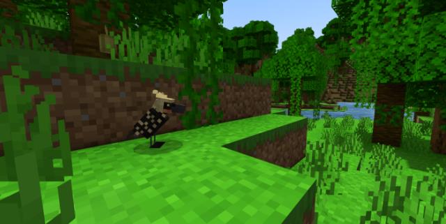 Белохохлый дятел