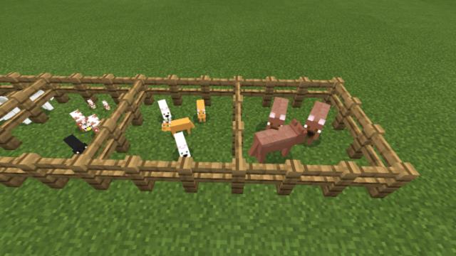 Разновидности добавляемых кошек