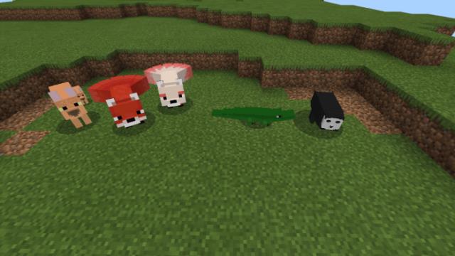 Добавленные виды интересных животных