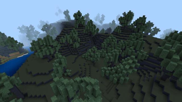 Биом теневых лесов