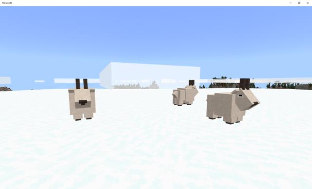 козы на снегу