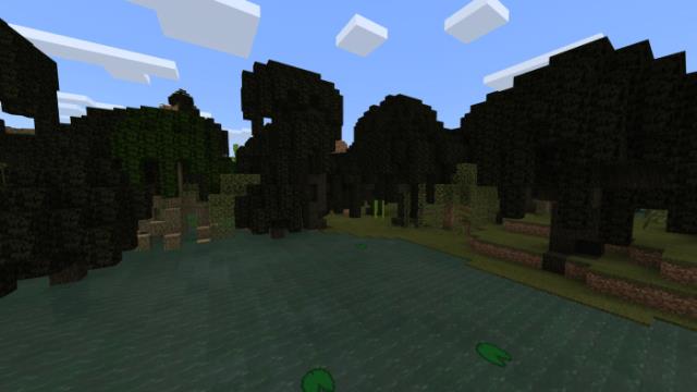 Ландшафт болота 2