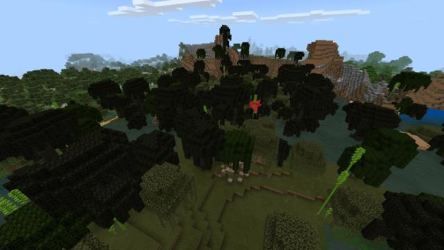 Ландшафт болота 1