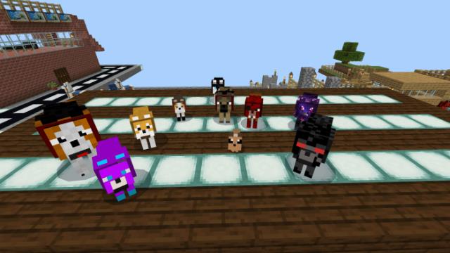 несколько волков