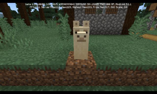 Голова ламы