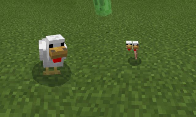 Голова курицы