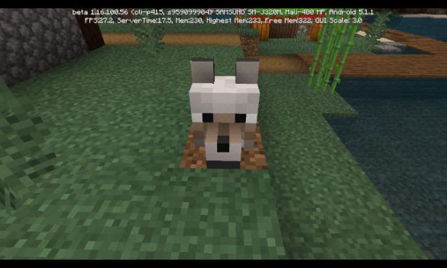 Голова волка