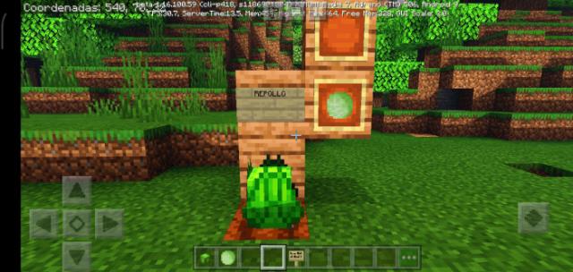 Большой качан капусты