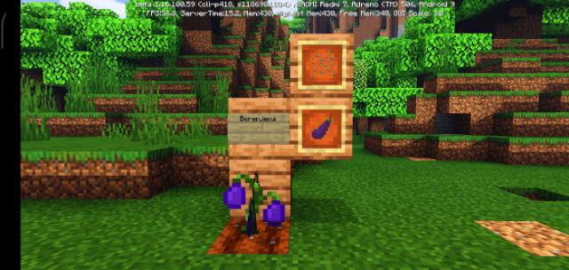 Выращивание баклажана