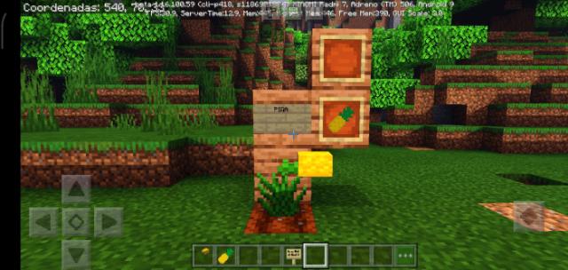 Новый плод экзотического фрукта - ананаса