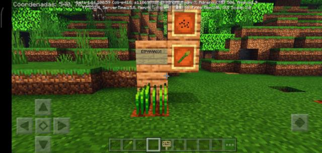 Полезная спаржа, выращенная на улице