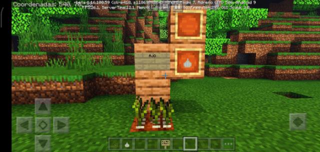 Грядка из чеснока